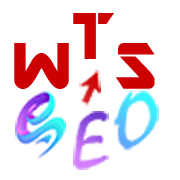 wts-seo-logo-square WebTop Seo School - offers